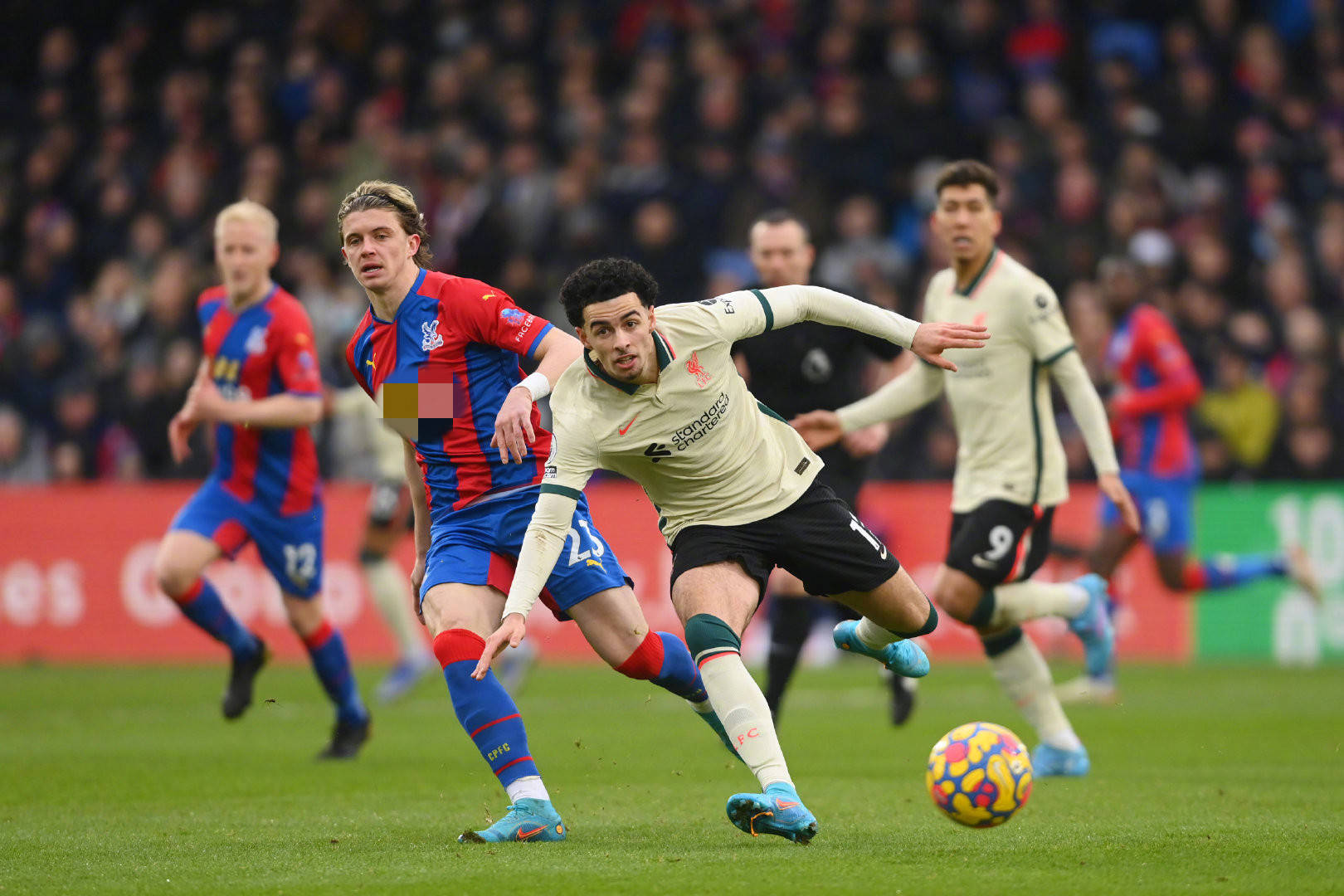 及时做出判 及时做出判