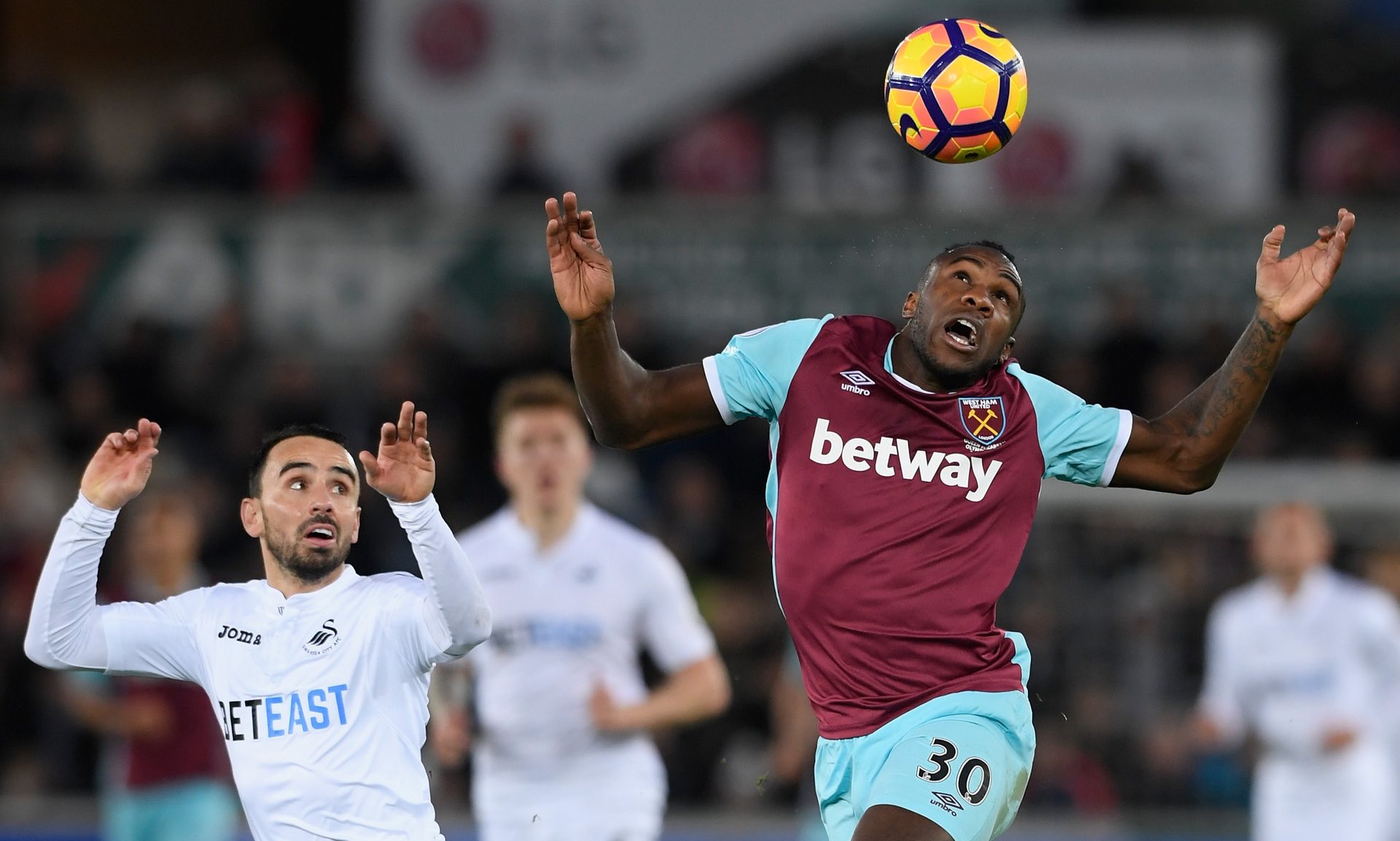 获得稳定的 获得稳定的